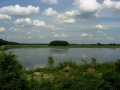 Rytwiany